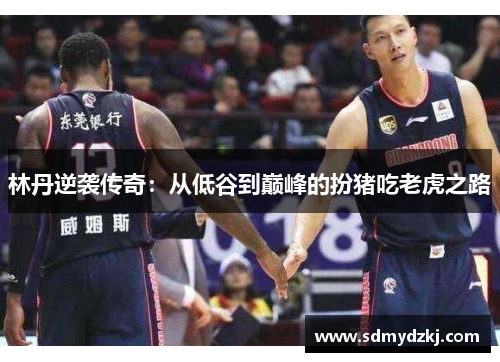 林丹逆袭传奇:从低谷到巅峰的扮猪吃老虎之路 林丹逆袭传奇:从低谷到巅峰的扮猪吃老虎之路