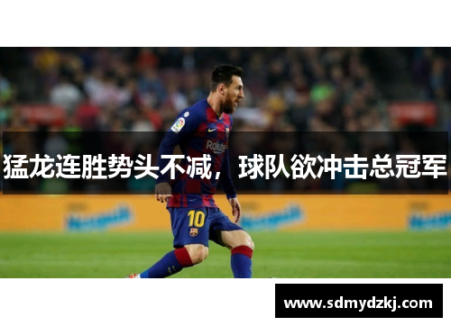 猛龙连胜势头不减，球队欲冲击总冠军