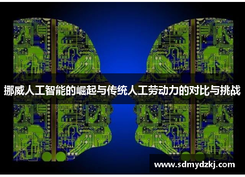 挪威人工智能的崛起与传统人工劳动力的对比与挑战