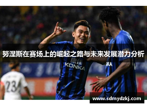 努涅斯在赛场上的崛起之路与未来发展潜力分析