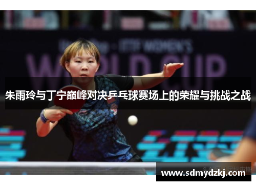 朱雨玲与丁宁巅峰对决乒乓球赛场上的荣耀与挑战之战